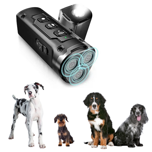 Anti aboiement chien